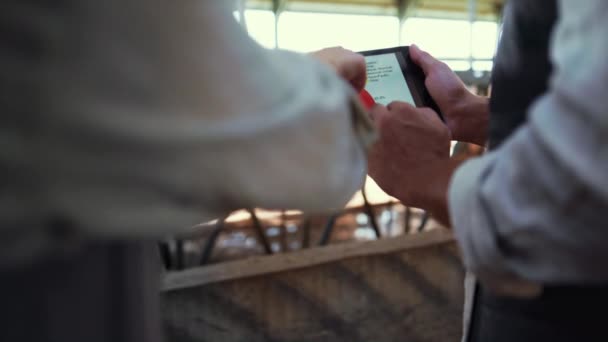 Manos deslizando tabla de tabletas en primer plano establo. Agricultores discutiendo diagrama de datos — Vídeos de Stock