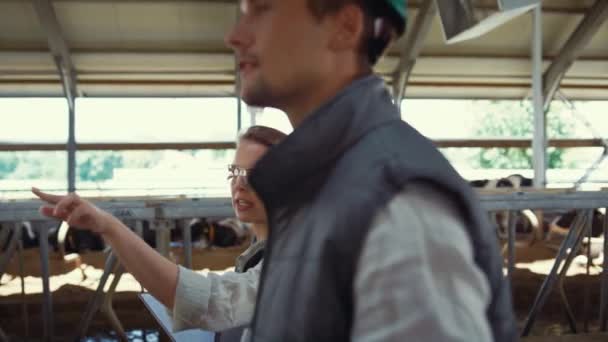 Agricultural team walking shed inspecting livestock facility together closeup. — Stockvideo