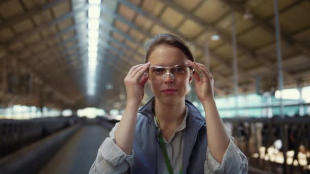 Portrait livestock worker posing in cowshed. Agriculture manager put on glasses. — Wideo stockowe