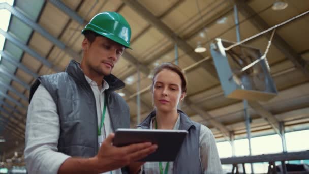 Livestock workers using tablet device in cowshed. Dairy farm professionals. — Wideo stockowe