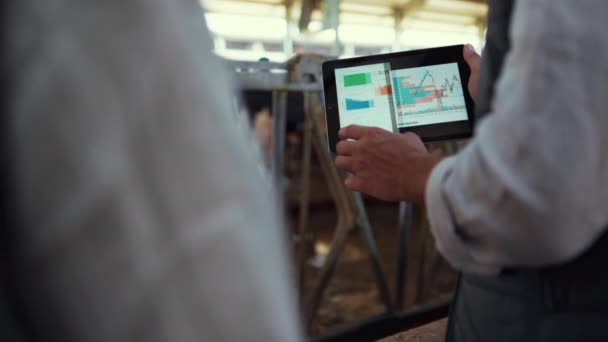 Farm owner hands holding tablet in cowshed closeup. Agribusiness team working — Stock video