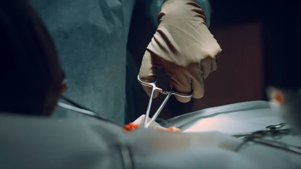 Primo piano chirurgo mani sutura ferita con forcipe in ospedale sala operatoria. — Foto Stock