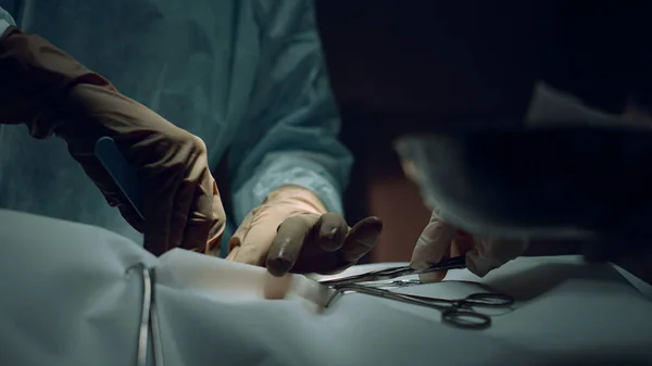 Medical hands performing operation close up. Unknown nurse handing equipment. —  Fotos de Stock