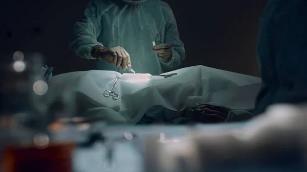 Profesjonalny chirurg wykonujący nacięcie przed operacją w ciemnej sali operacyjnej. — Zdjęcie stockowe