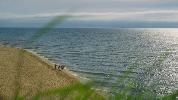 Huzurlu doğa okyanus manzarası plajı. Mavi deniz kıyısında yürüyen insanlar.