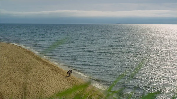 Güzel deniz sahili manzarası. Doğanın okyanus kıyısında tatilin tadını çıkaran iki insan.