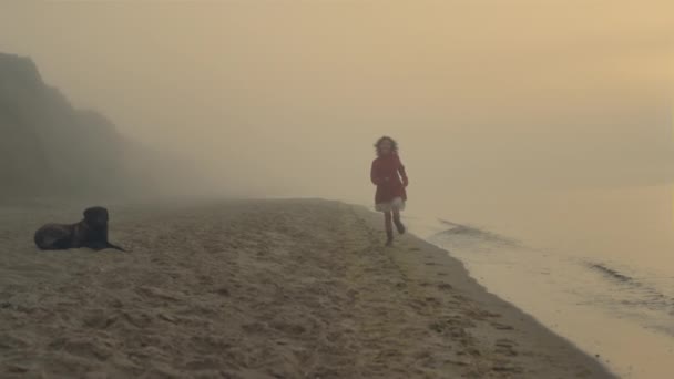 Excited woman running at seashore in sunrise. Happy girl looking at dog on beach — Stock Video