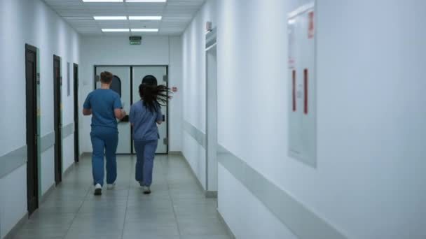 Unknown doctor nurse moving down hallway back view. Surgeon consulting woman. — 비디오