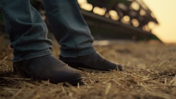 Botas agrónomas de pie campo en la paja cosechadora primer plano. Campo al atardecer — Vídeo de stock