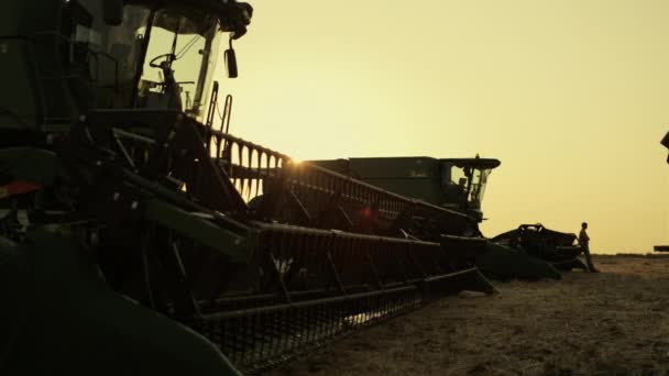 Combine silhouette at golden sunset farmland. Seasonal grain harvesting time. — Stockvideo