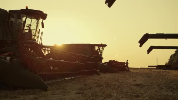 Machinery equipment silhouette at sunset wheat field farmland. Agro concept — Stockvideo
