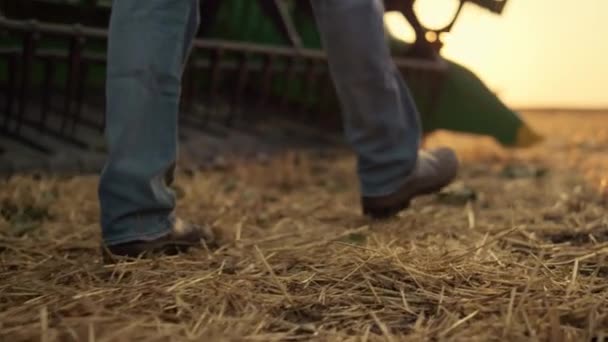 Farmer foot going field straw inspect combine at sunset. Golden harvest concept — Vídeos de Stock