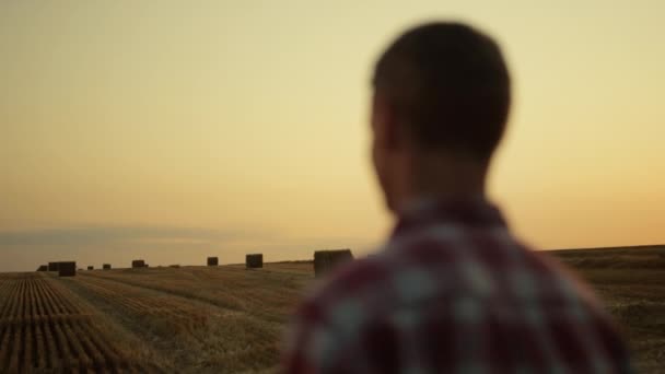 Sedlák stojící na seně pole zlatý západ slunce pohled zpět. Koncept zemědělství — Stock video