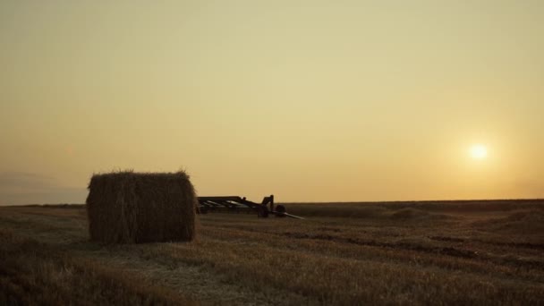 Hooibaal op tarweveld met oogstapparatuur bij zonsondergang. Agro-concept — Stockvideo