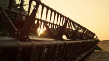 Harman biçme makinesini yaz mevsiminde Golden Sunset 'te birleştirin..