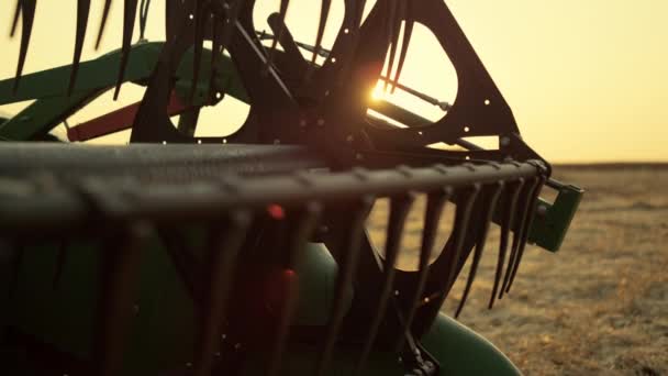 Комбинируйте нож на зерновом поле на золотом закате. Современная концепция сельскохозяйственной техники. — стоковое видео