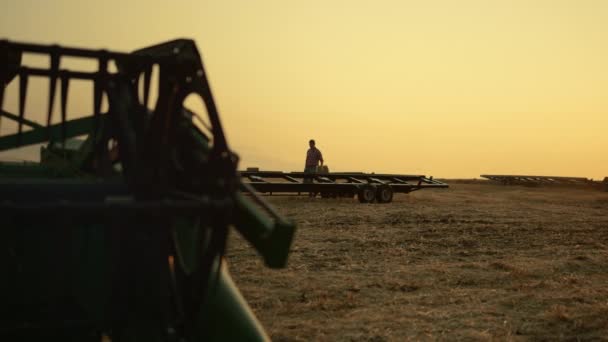 小麦畑の黄金の夕日で農家のチェック収穫プロセスの結果。農村風景 — ストック動画