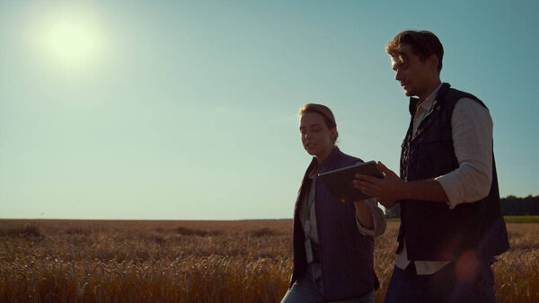 Инженеры сельского хозяйства выгуливают пшеничное поле в солнечный день. Командная работа в агробизнесе