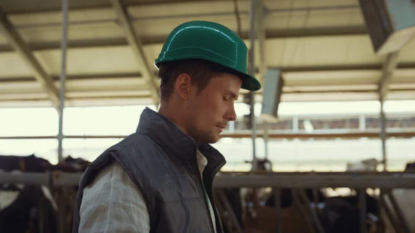 Man farmer walking cowhouse in helmet closeup. Professional cattle breeder. — Foto de Stock