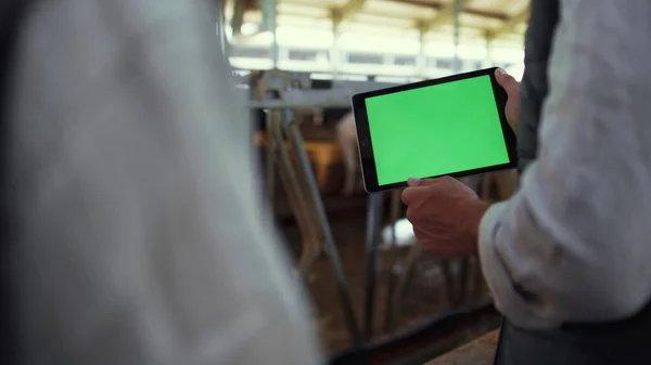 Tableta de cierre de croma en las manos. Agricultores que utilizan ordenadores en instalaciones ganaderas — Foto de Stock