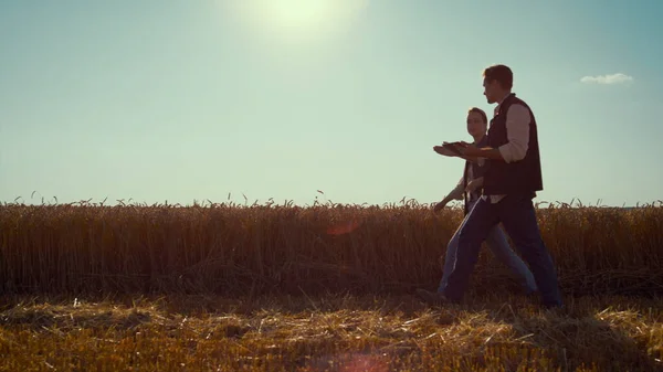 Agronomen team wandelen tarweveld op zonnige dag. Zomeroogstseizoen. — Stockfoto