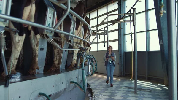 Livestock worker collecting data on dairy farm. Woman inspect suction machinery