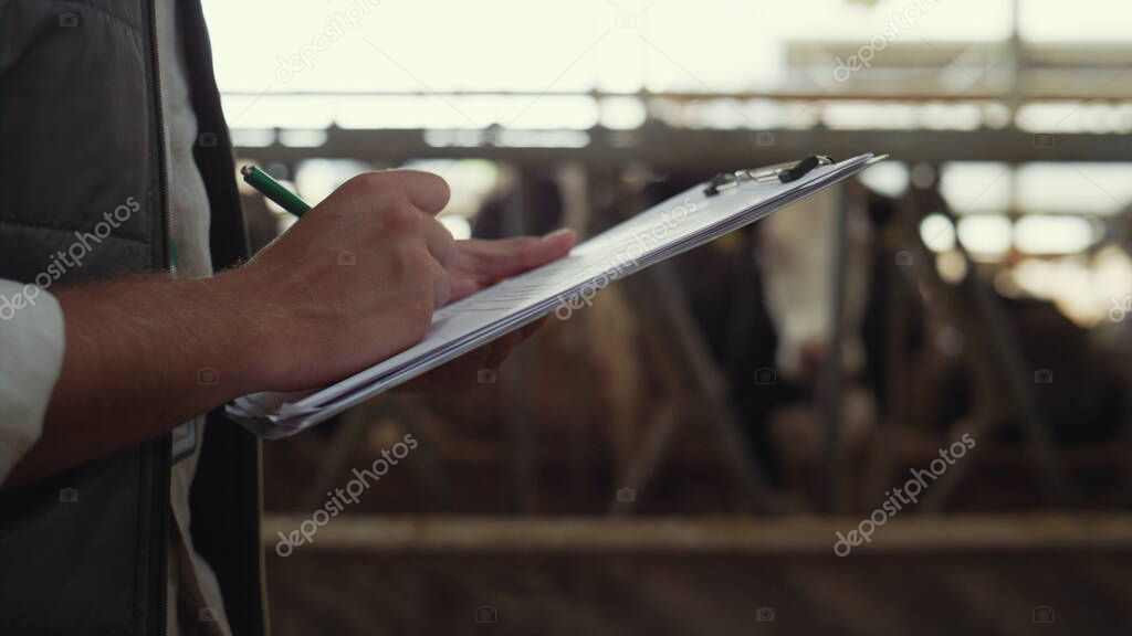 Livestock worker making notes in cowshed. Male hands holding clipboard closeup.