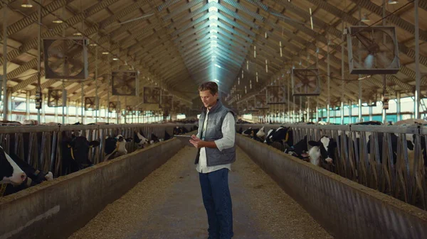 Ingeniero agrícola trabaja en un establo sujetando portapapeles. Empresario comprobar animales primer plano —  Fotos de Stock