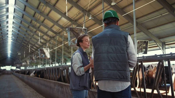 Trabajadores del ganado sonrientes hablando en un establo. Equipo de agricultura usando tableta. — Foto de Stock