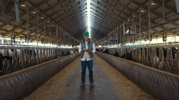 Livestock supervisor holding tablet computer in modern cowshed farm facility. — Foto de Stock