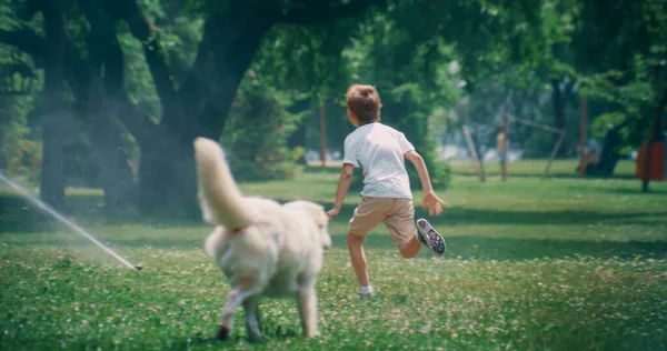 Fröhliches kleines Kind läuft vor entzückendem Haustier vor Wassersprengern im Sommerpark davon — Stockfoto