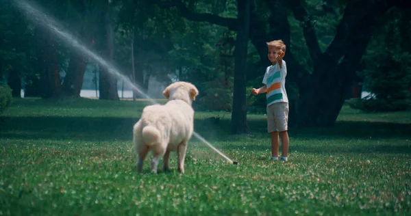Menino jogar água aspersor no campo verde com brincalhão golden retriever — Fotografia de Stock