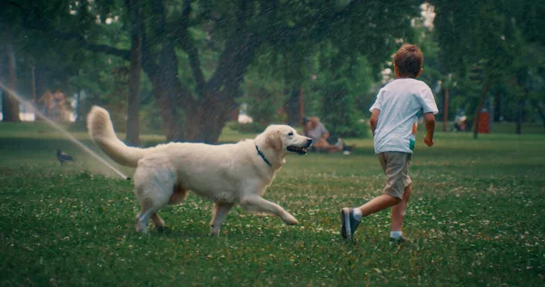 Kleiner Junge läuft süßer Hund. Fröhlicher Golden Retriever an sonnigem Tag im Park — Stockfoto
