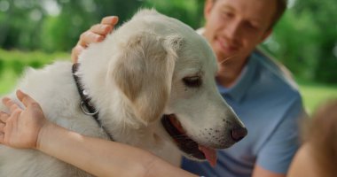 Mutlu köpek piknikte yakından okşamaktan hoşlanır. Gülümseyen adam beyaz evcil hayvanı okşar.