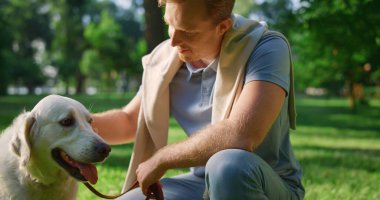 Neşeli gülen adam parkta Golden Retriever 'ı okşuyor. Köpek başını sallıyor kuyruğunu sallıyor