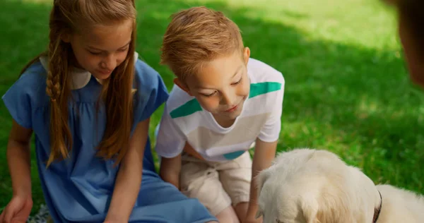 Children have fun with dog on picnic. Cute siblings play with golden retriever.