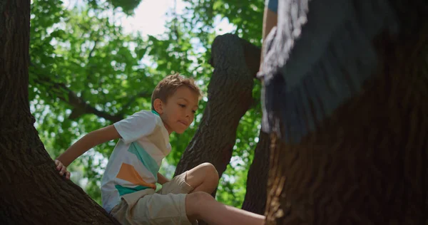 Árvore de escalada do menino ativo no parque perto. Criança corajosa sentada em alto ramo. — Fotografia de Stock