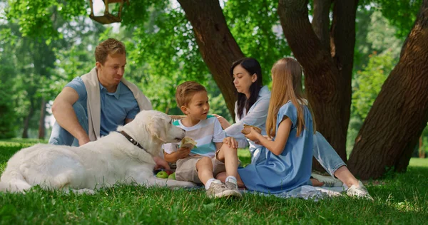 Happy family feeding white dog on picnic. People heve fun on green grass. — Stock Photo, Image