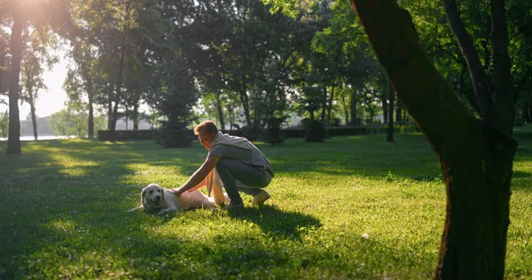 Joyful happy man petting tired golden retriever lying on field after training. — Stock Photo, Image