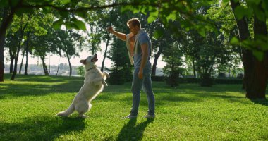 Köpek sahibi köpek terbiyecisi av köpeği numarası yapıyor. İnsan yemek için elini kaldırır..