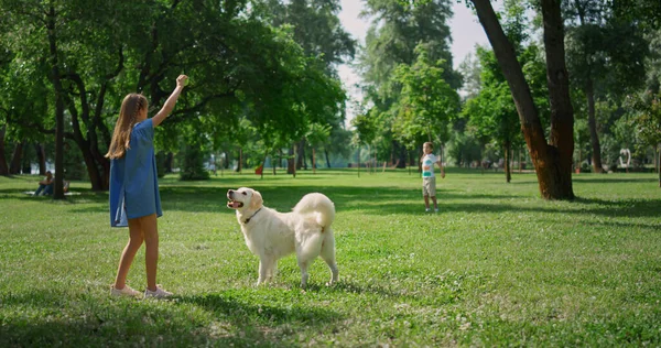 Cute girl training dog in green park rear view. Children play catch with pet. — Stock Photo, Image