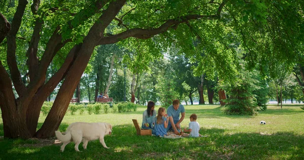 Familia joven descansando con el perro en la sombra el fin de semana. Padres almorzando con niños. —  Fotos de Stock