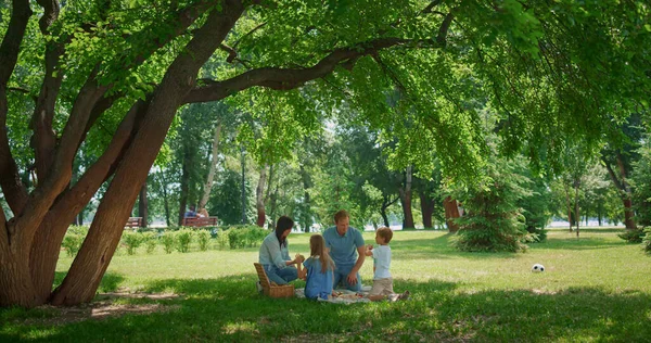 Despreocupado lazer familiar no parque ensolarado. Crianças se divertem com os pais no piquenique. — Fotografia de Stock
