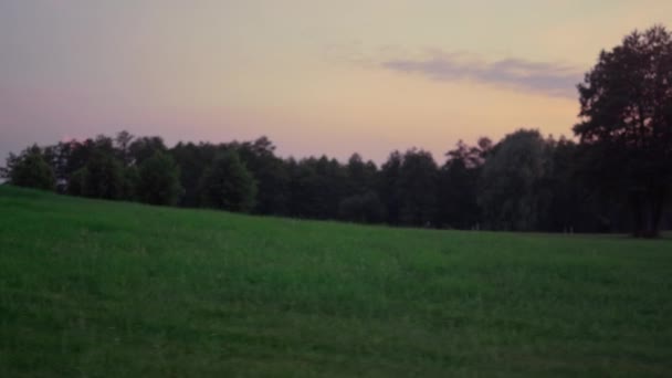 Golfplatz grünes Gras wächst auf Sonnenuntergang Natur. Sportpark im ruhigen Hintergrund — Stockvideo