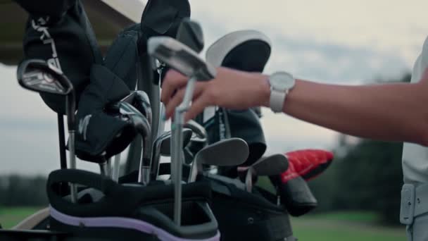 Vrouw kiest golfclubs in uitrustingstas. Pro golfer voor te bereiden op groene veld spel — Stockvideo