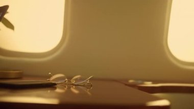 Eller özel jet kapanışında dizüstü bilgisayarda çalışıyor. Şirket CEO 'su şirket gezisinin veri istatistiklerini analiz ediyor. Bilinmeyen iş kadını lüks uçaklardaki hisse senedi şemasını kontrol ediyor. İş seyahati kavramı