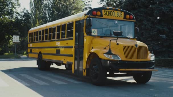 Vacío Autobús Escolar Amarillo Pie Estacionamiento Rodeado Vegetación Día Soleado — Vídeo de stock