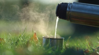 Termos alüminyum bardağa sıcak çay dolduruyor. Güzel sonbahar doğası arka planında ılık, nefis bir içecek. Açık havada yeşil çimlerin üzerinde yükselen ışık buharı. Piknik konsepti.