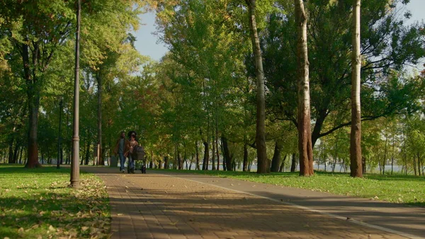 Idylic Ailesi Sıcak Bir Sonbahar Gününde Parkta Yürüyor Yeni Doğan — Stok fotoğraf