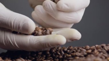 Eller kahve çekirdeğini topluyor. Beyaz eldivenli, elinde koyu fonda kavrulmuş aromatik tohumlar tutan tanınmamış biri. Parmaklar kahverengi fasulyeyi alıyor. Tarımcı kahve hasadı kalitesini kontrol ediyor.. 